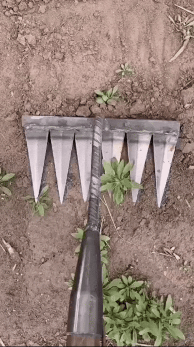 🌱 5-Tooth Carbon Steel Weeding Tool – 50% OFF | Don’t Miss Out!