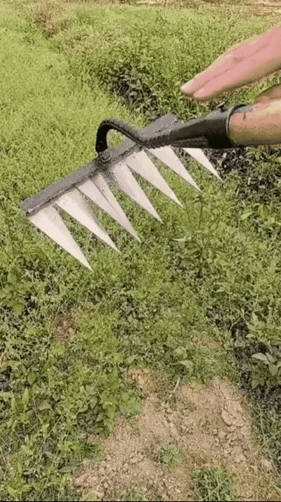 🌱 5-Tooth Carbon Steel Weeding Tool – 50% OFF | Don’t Miss Out!